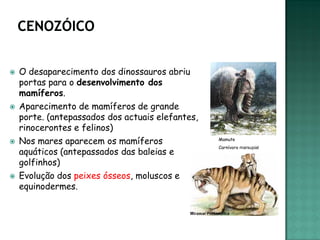    O desaparecimento dos dinossauros abriu
    portas para o desenvolvimento dos
    mamíferos.
   Aparecimento de mamíferos de grande
    porte. (antepassados dos actuais elefantes,
    rinocerontes e felinos)
   Nos mares aparecem os mamíferos               Mamute
                                                  Carnívoro marsupial
    aquáticos (antepassados das baleias e
    golfinhos)
   Evolução dos peixes ósseos, moluscos e
    equinodermes.
 