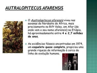    O Australopitecos afarensis viveu nas
    savanas do Nordeste de África, mais
    precisamente no Rift Valey, em Afar (de
    onde vem o seu nome afarensis) na Etiópia,
    há aproximadamente entre 4 e 2,7 milhões
    de anos.

   As evidências fósseis encontradas em 1974,
    um esqueleto quase completo, propiciou uma
    grande riqueza de informação à cerca da
    linha de evolução humana.
 