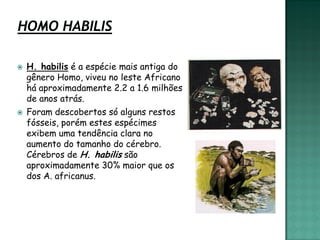    H. habilis é a espécie mais antiga do
    gênero Homo, viveu no leste Africano
    há aproximadamente 2.2 a 1.6 milhões
    de anos atrás.
   Foram descobertos só alguns restos
    fósseis, porém estes espécimes
    exibem uma tendência clara no
    aumento do tamanho do cérebro.
    Cérebros de H. habilis são
    aproximadamente 30% maior que os
    dos A. africanus.
 