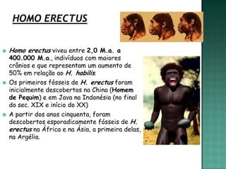    Homo erectus viveu entre 2,0 M.a. a
    400.000 M.a., indivíduos com maiores
    crânios e que representam um aumento de
    50% em relação ao H. habilis.
   Os primeiros fósseis de H. erectus foram
    inicialmente descobertos na China (Homem
    de Pequim) e em Java na Indonésia (no final
    do sec. XIX e início do XX)
   A partir dos anos cinquenta, foram
    descobertos esporadicamente fósseis de H.
    erectus na África e na Ásia, a primeira delas,
    na Argélia.
 