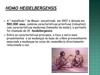    A " mandíbula " de Mauer, encontrada em 1907 e datada em
    500,000 anos, combina características primitivas (robustez)
    com características modernas (tamanho do molar), e portanto
    foi chamada de H. heidelbergensis.
   Entre as características principais, a face e nariz mais
    proeminentes e as mudanças na base do crânio provavelmente
    associado a mudanças na caixa de ressonância directamente
    relacionada a voz.
 