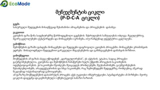 მენეჯმენტის ციკლი
(P-D-C-A ციკლი)
გეგმა
სასურველი შედეგების მისაღწევად შესაბამისი ამოცანებისა და პროცესების დასახვა.
ვაკეთოთ
კეთების ფაზა წინა საფეხურებზე წარმოდგენილი გეგმების შესრულების საშუალებას იძლევა. ჩვეულებრივ,
მცირე ცვლილებები ტესტირდება და მონაცემები იკრიბება, თუ რამდენად ეფექტურია ცვლილება.
ვამოწმოთ
შემოწმების ფაზაში ფასდება მონაცემები და შედეგები დაგროვილი კეთების პროცესში. მონაცემები ერთმანეთს
ედრება მოსალოდნელი შედეგებით გარკვეული მსგავსებებისა და განსხვავებების დანახვის მიზნით.
ვიმოქმედოთ
მოქმედების ამ ფაზას ასევე უწოდებენ „დარეგულირებას", ეს აქტისის ეტაპია, სადაც პროცესი
გაუმჯობესებულია, კეთებისა და შემოწმების ჩანაწერები ხელს უწყობს პროცესის საკითხების
იდენტიფიცირებას. ეს საკითხები შეიძლება შეიცავდეს პრობლემებს, შეუსაბამობებს, გაუმჯობესების
შესაძლებლობებს, არაეფექტურობას და სხვა საკითხებს, რაც ზემოქმედებს შედეგებზე, რომლებიც აშკარად
ნაკლებად ოპტიმალურად გამოიყურება.
ამ ფაზაზე მოქმედებების დასასრულს პროცესს აქვს უკეთესი ინსტრუქციები, სტანდარტები ან მიზნები. მეორე
ციკლის დაგეგმვა დაკავშირებული იქნებაუკეთეს საბაზო ხაზთან.
 