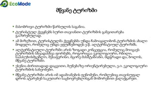 მწვანე ტურიზმი
 მასობრივი ტურიზმი წარსულის საგანია.
 ტურისტულ ქვეყნებს სურთ თავიანთი ტურიზმის განვითარება
გააზრებულად.
 ამ მიზეზით, ტურისტულმა ქვეყნებმა უნდა ჩამოაყალიბონ ტურიზმის ახალი
მოდელი, რომელიც უნდა ეფუძნებოდეს ე.წ. ალტერნატიულ ტურიზმს.
 ალტერნატიული ტურიზმი არის ზოგადი კონცეფცია, რომელიც მოიცავს
ტურიზმის სხვადასხვა ფორმებს, როგორიცაა ეკოლოგიური, რბილი,
საპასუხისმგებლო, შესაფერისი, მცირე მასშტაბიანი, მდგრადი და, ბოლოს,
მწვანე ტურიზმი.
 ესენია ძირითადად დაცვითი, ბუნებაზე ორიენტირებული, ე.ი. ეკოლოგიური
ტურიზმის სახეობები.
 მწვანე ტურიზმი არის იმ ადამიანების ფენომენი, რომლებიც თავისუფალ
დროს ატარებენ საკუთარი საცხოვრებლისგან მოშორებით ქალაქგარეთ.
 