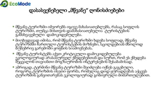 დასასვენებელი „მწვანე“ ღონისძიებები
 მწვანე ტურიზმი იმეორებს იგივე მახასიათებლებს, რასაც სოფლის
ტურიზმი, თუმცა მისთვის დამახასიათებელია ტურისტების
განსხვავებული დამოკიდებულება.
 მიუხედავად იმისა, რომ მწვანე ტურიზმი ხდება სოფლად, მწვანე
ტურიზმში ჩართული ტურისტების მიზნები, სცილდებიან მხოლოდ
ბუნებრივ გარემოში ყოფნის სიამოვნებას.
 მწვანე ტურისტებს აქვთ კრიტიკული დამოკიდებულება
ეკოლოგიურად არასასურველ ქმედებებთან და სურთ, რომ ეს ქმედება
შეცვალონ თავიანთი მოგზაურობის ინტერესების შესაბამისად.
 ამრიგად, ტერმინი მწვანე ტურიზმი შეიძლება იქნეს გაგებული,
როგორც ტურიზმის ისეთი ფორმა, რომელიც დიდ ყურადღებას აქცევს
ტურიზმის განვითარებას ეკოლოგიურად გონივრული მიმართულებით.
 