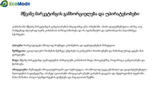 Geo   module 5 5.4.2-presentation_version 1