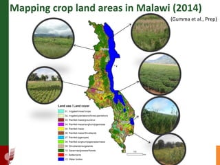 Supporting the mission of ICRISAT using Geospatial tools 