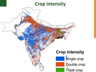 Supporting the mission of ICRISAT using Geospatial tools 