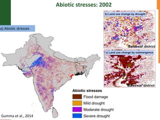 Supporting the mission of ICRISAT using Geospatial tools 