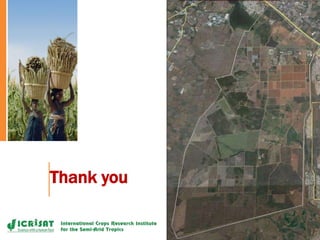 Supporting the mission of ICRISAT using Geospatial tools 