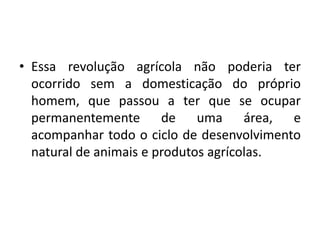 Essa revolução agrícola não poderia ter ocorrido sem a domesticação do próprio homem, que passou a ter que se ocupar permanentemente de uma área, e acompanhar todo o ciclo de desenvolvimento  natural de animais e produtos agrícolas.