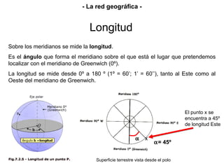 Sobre los meridianos se mide la longitud.
Es el ángulo que forma el meridiano sobre el que está el lugar que pretendemos
localizar con el meridiano de Greenwich (0º).
La longitud se mide desde 0º a 180 º (1º = 60’; 1’ = 60’’), tanto al Este como al
Oeste del meridiano de Greenwich.
El punto x se
encuentra a 45º
de longitud Este
α
α= 45º
x
Superficie terrestre vista desde el polo
Longitud
- La red geográfica -
 