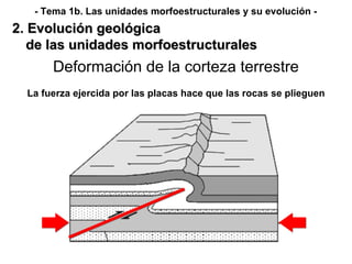 Deformación de la corteza terrestre La fuerza ejercida por las placas hace que las rocas se plieguen 2. Evolución geológic...