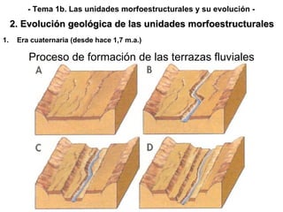 <ul><li>Era cuaternaria (desde hace 1,7 m.a.) </li></ul>2. Evolución geológica de las unidades morfoestructurales - Tema 1...