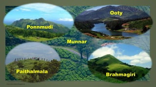 www.masocialma.blogspot.in
Ooty
Paithalmala
Brahmagiri
Munnar
Ponnmudi
 