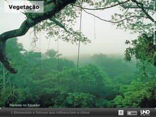 X SAIRX SAIR
Vegetação
Floresta no Equador
1 Elementos e fatores que influenciam o clima
WOLFGANGKAEHLER/CORBIS/LATINSTOCK
 