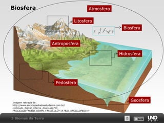 X SAIRX SAIR
Biosfera
Geosfera
Biosfera
Pedosfera
Atmosfera
Hidrosfera
Litosfera
Antroposfera
3 Biomas da Terra
Imagem retirada de:
http://www.enciclopediadoestudante.com.br/
conteudo_digital_interna_down.asp?ID_
FASCICULO=48&ID_DOWN_FASCICULO=147&ID_ENCICLOPEDIA=
 