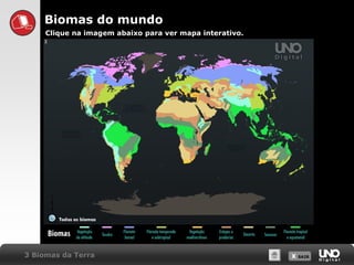 X SAIRX SAIR3 Biomas da Terra
Biomas do mundo
Clique na imagem abaixo para ver mapa interativo.
 