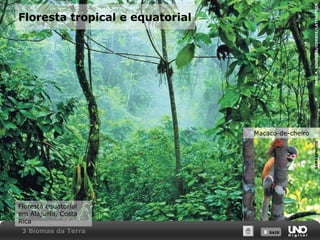 X SAIRX SAIR
Floresta tropical e equatorial
Floresta equatorial
em Alajuela, Costa
Rica
PAULA.SOUDERS/CORBIS/LATINSTOCK
Macaco-de-cheiro
SAMBAPHOTO
3 Biomas da Terra
 