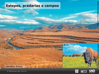 X SAIRX SAIR
Estepes, pradarias e campos
Samakha, Rússia
PAVELFILATOV/ALAMY/OTHERIMAGES
Bisão
BLICKWINKEL/ALAMY/OTHERIMAGES
3 Biomas da Terra
 