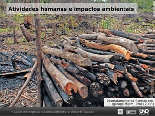X SAIRX SAIR
Atividades humanas e impactos ambientais
Desmatamento de floresta em
Igarapé-Mirim, Pará (2008)
4 Ação antrópica: desmatamento e desertificação
PULSARIMAGENS
 