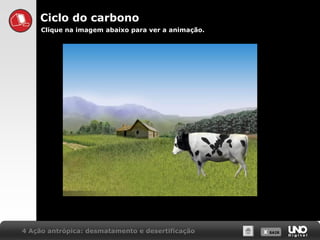 X SAIRX SAIR4 Ação antrópica: desmatamento e desertificação
Ciclo do carbono
Clique na imagem abaixo para ver a animação.
 
