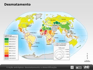X SAIRX SAIR
Desmatamento
4 Ação antrópica: desmatamento e desertificação
 