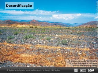 X SAIRX SAIR
Desertificação
A aridez da região de Almeria
(Espanha) favorece o processo
de desertificação (2004).
4 Ação antrópica: desmatamento e desertificação
GLORIALATORRE&ALVARMONTES/ALAMY/OTHERIMAGES
 