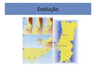 Evolução

 