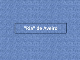 “Ria” de Aveiro

 