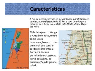 Características
A Ria de Aveiro estende-se, pelo interior, paralelamente
ao mar, numa distância de 47 km e com uma largura
máxima de 11 km, no sentido Este-Oeste, desde Ovar
até Mira

Nela desaguam o Vouga,
o Antuã e o Boco, tendo
como única
comunicação com o mar
um canal que corta o
cordão litoral entre a
Barra e S. Jacinto,
permitindo o acesso ao
Porto de Aveiro, de
embarcações de grande
calado.

 