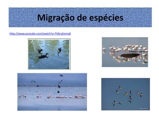 MigraçãoVia espécies
de
http://www.youtube.com/watch?v=Ti0tryEomv8

 