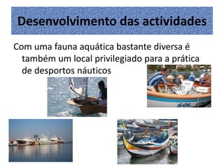 Desenvolvimento das actividades
Com uma fauna aquática bastante diversa é
também um local privilegiado para a prática
de desportos náuticos

 
