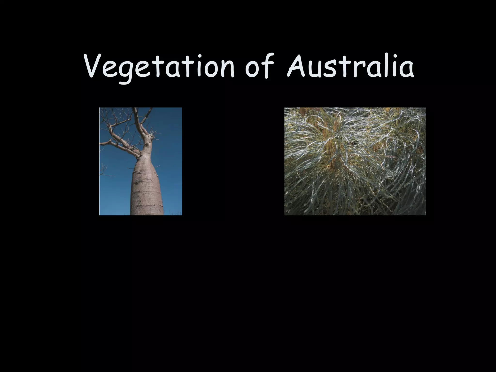 Vegetation of Australia 