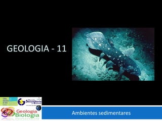 GEOLOGIA - 11




                Ambientes sedimentares
 