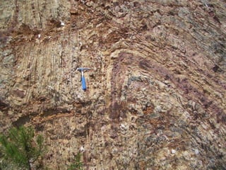 Nuno Correia 10/11   2
 