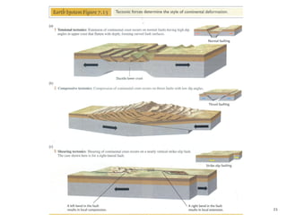 Nuno Correia 10/11   21
 