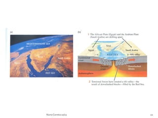 Nuno Correia 10/11   22
 