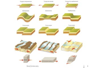 Nuno Correia 10/11   6
 