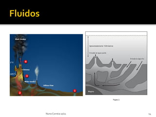 Nuno Correia 10/11   14
 