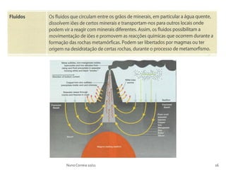 Nuno Correia 10/11   16
 