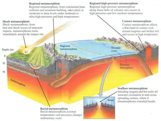 Nuno Correia 10/11   2
 