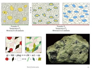Nuno Correia 10/11   21
 