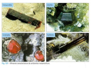 Nuno Correia 10/11   22
 