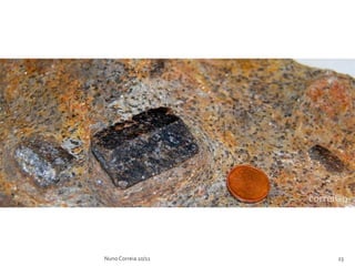 Nuno Correia 10/11   23
 