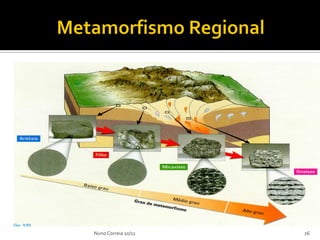 Nuno Correia 10/11   26
 
