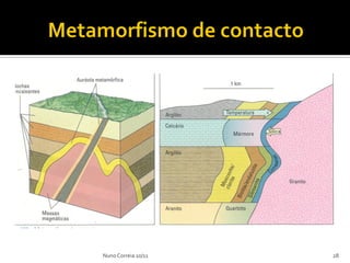 Nuno Correia 10/11   28
 