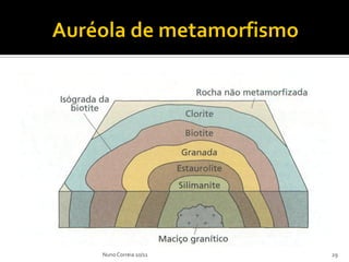 Nuno Correia 10/11   29
 
