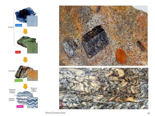 Nuno Correia 10/11   34
 