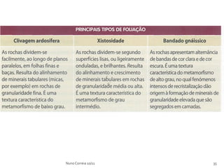 Nuno Correia 10/11   35
 