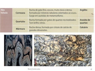 Nuno Correia 10/11   37
 